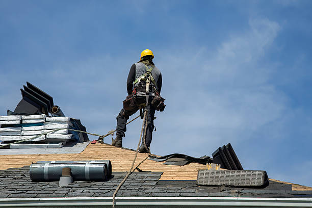 Professional Storm Damage Roof Repair technician working in Newbern, TN