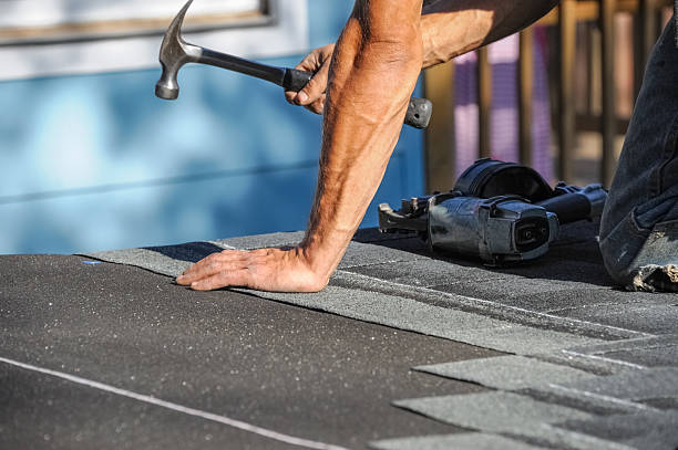 Affordable Storm Damage Roof Repair solutions in Newbern, TN